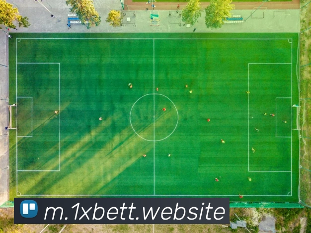 1xbet服务体系